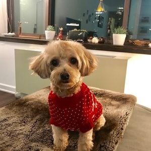 Meet your Posher, Jeff